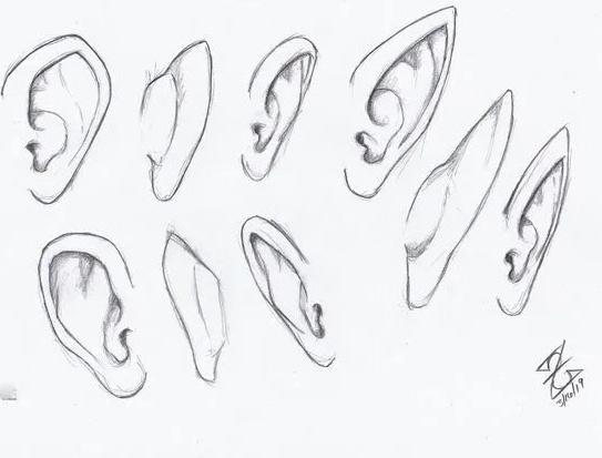 耳朵怎么画简单画法图片