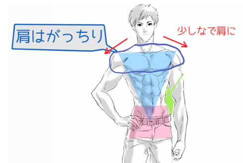 我教你不求人,动漫人体肌肉的!