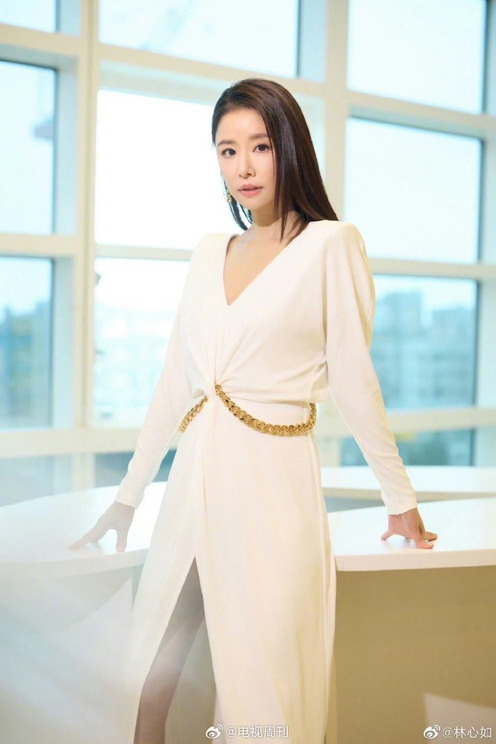 苏有朋林心如携手亮相我们的美好生活