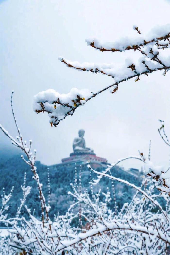 央視安利的雪窩煙臺,一下雪就出圈|央視|煙臺|雪窩_新浪新聞