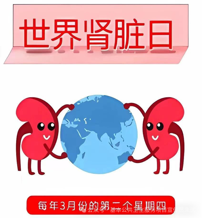 世界肾脏日全民肾脏健康推进公平的医疗服务和优化的药物治疗实