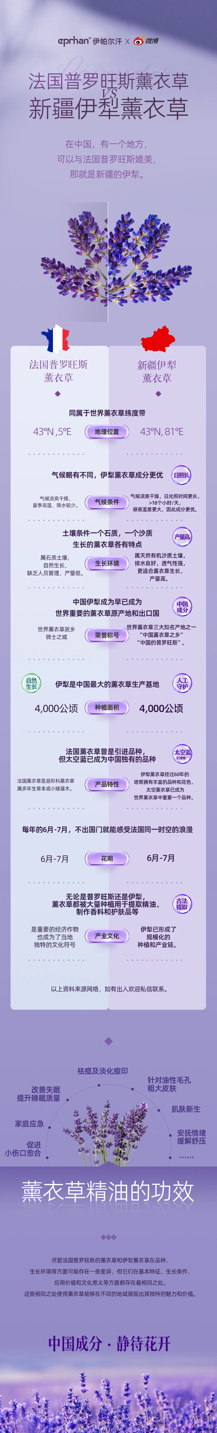 新疆|伊帕尔汗|薰衣草_新浪新闻