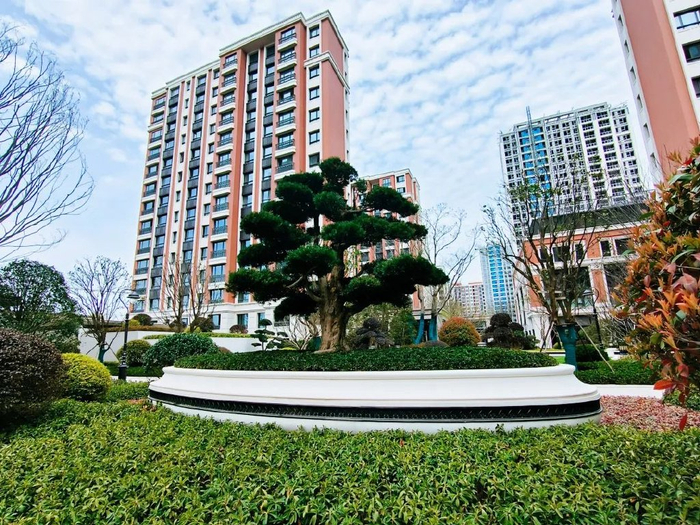 0封藏之作即将入市!