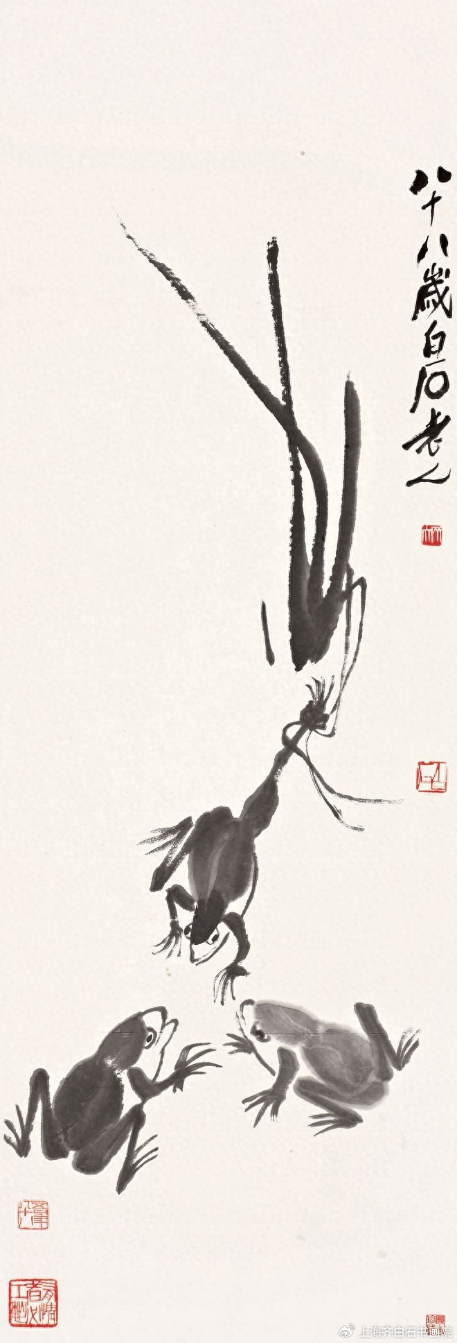 如何鉴定送拍曼士珍藏齐白石青蛙,齐白石传人汤发周说,先看青蛙画法