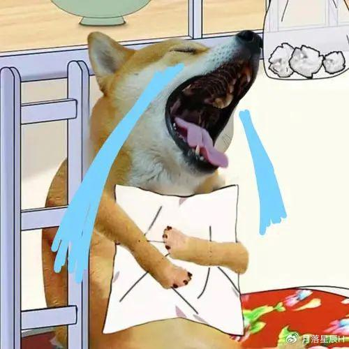 上个月,网友家的柴犬正在院子里睡觉,眼看着风平浪静的天气,突然就来