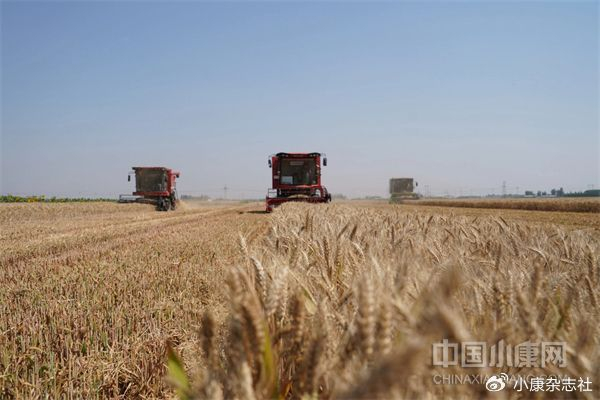 加快构建现代农业经营体系