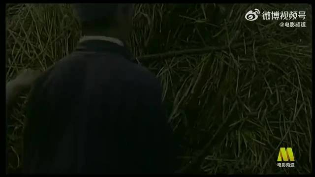 电影频道4月18日2025播出郭达潘长江主演电影举起手来