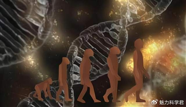 科学家发现,340万年前,地球上曾存在两种截然不同的古人类物种|伯特利|南方|古猿