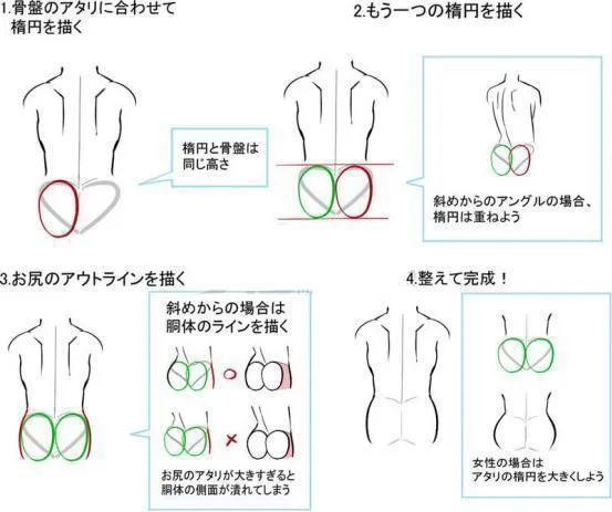 臀部绘画教程!看完这个还有人不会画臀部?