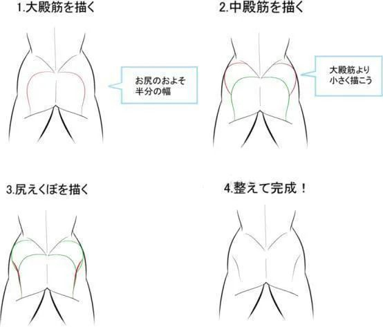 臀部绘画教程!看完这个还有人不会画臀部?