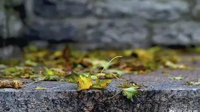 原创|不管和谁在一起，都不要忘了这三个原则！