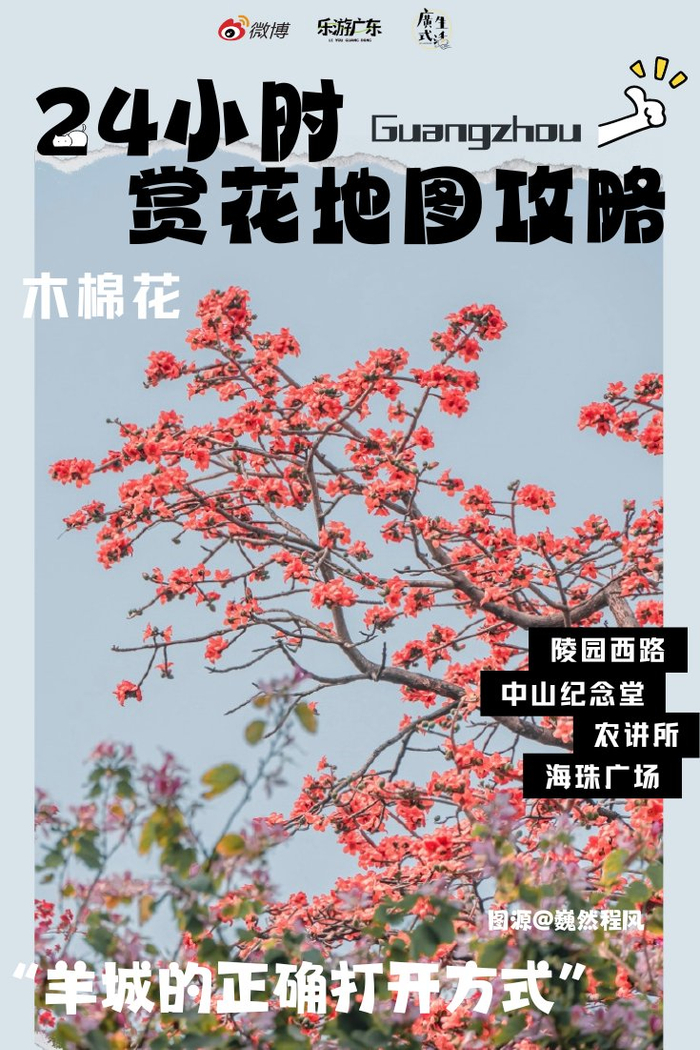 木棉花火焰般绽放?,樱花粉嫩婉约?