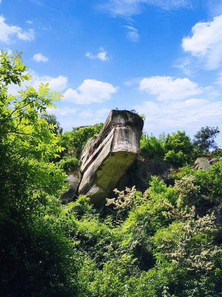 汉渝连线:你不知道的綦江县令张任佐(三-四)完结