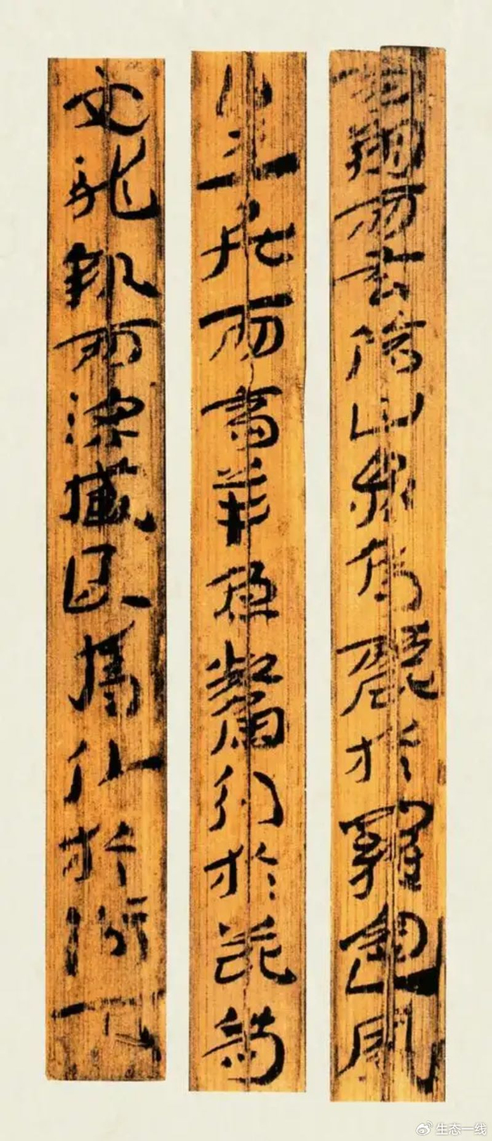 刘俊坡：浅析章草如何奠定中国草书的“法”与“势”|隶书|草书_新浪新闻
