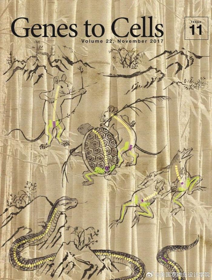 一组日本分子生物学学会创办的杂志《Genes to Cells》