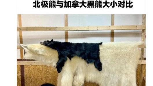 轻松一刻：既能防身，又能让路怒症瞬间冷静的道具！