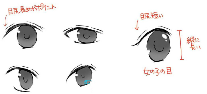 教你画脸的步骤和技巧,小白必备画脸技巧!