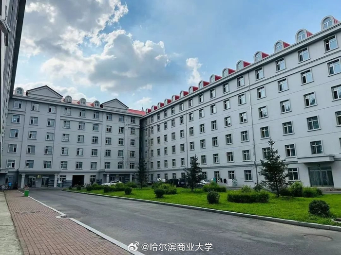 哈商大北区abc区鸟瞰图及各公寓概况来了
