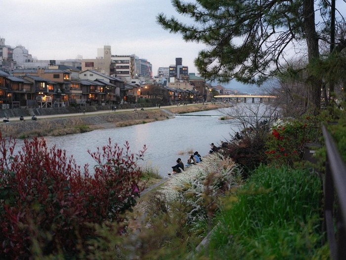 鸭川的春夜,流连河岸 91 photo by 吉尔苏