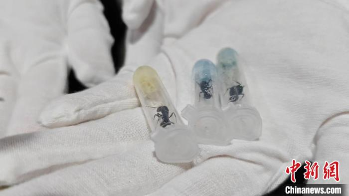 昆明海关1至4月共截获有害生物183种1324种次