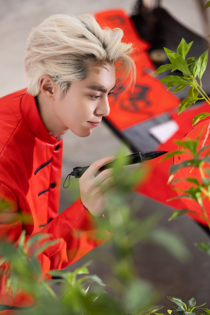 壁纸 花 桌面 700_1050 竖版 竖屏 手机