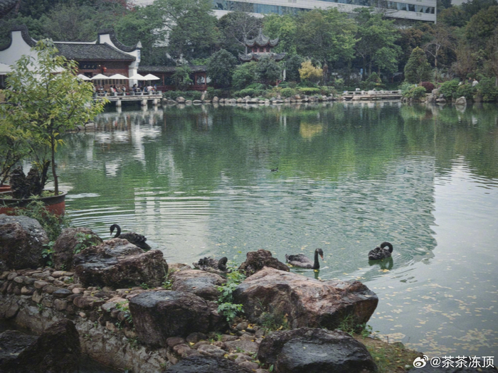 黎明湖公园