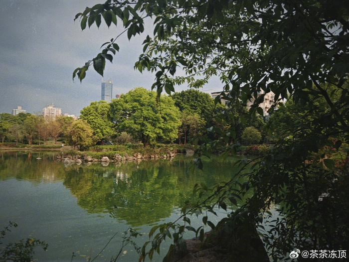 黎明湖公园