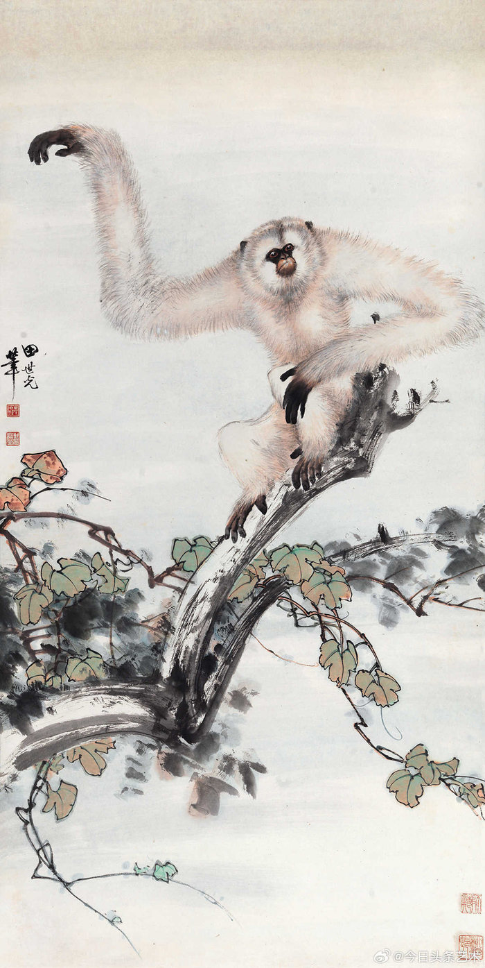 画家田世光笔下的白猿图