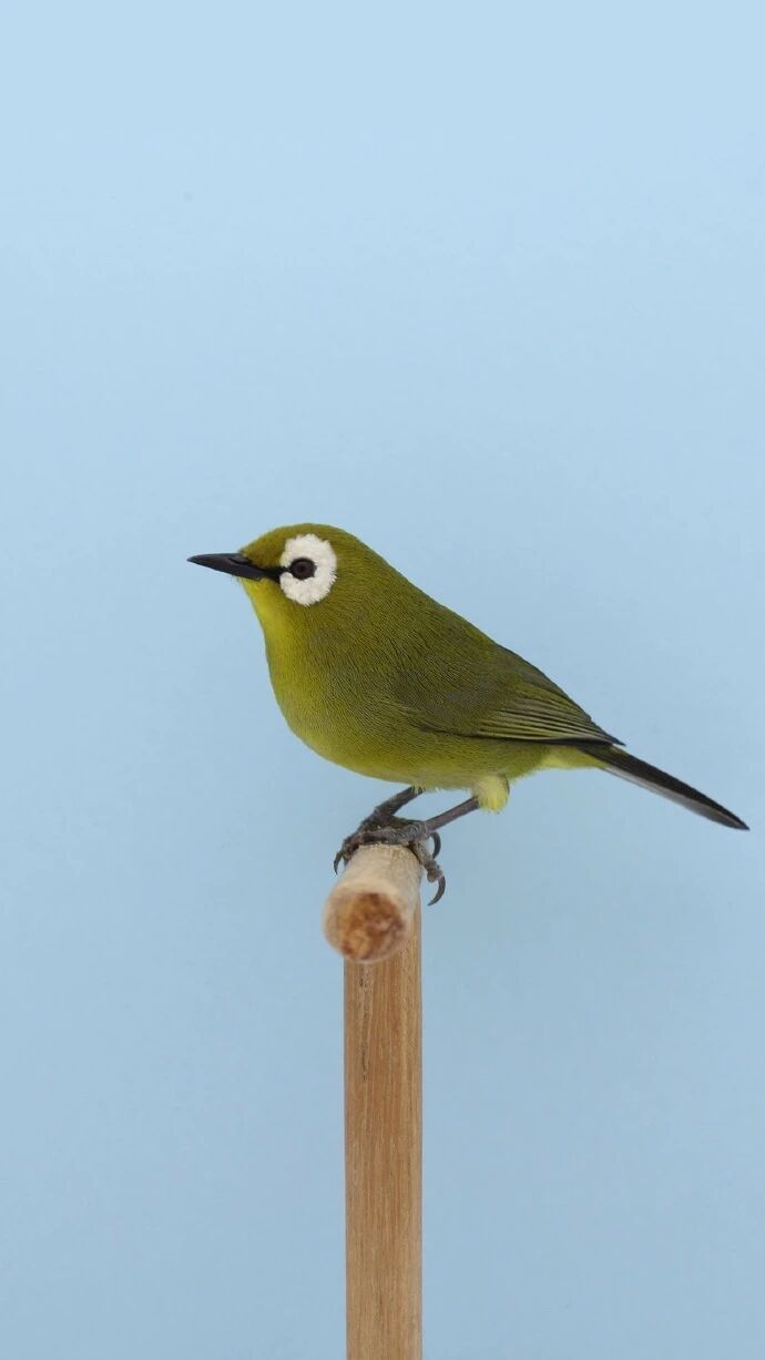 想找个合适发型?