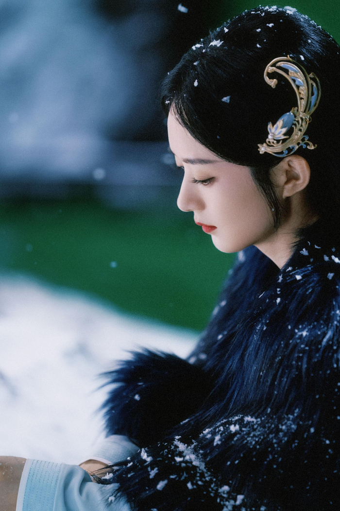 紫衣倩影宛如画雪花轻舞落青丝