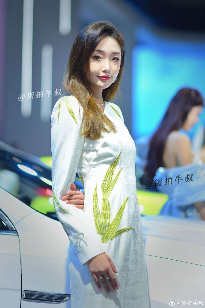 端庄大气的美女