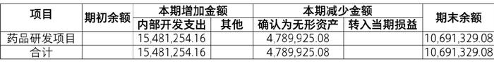 【致同研究之年报分析】研发支出年报披露示例  第11张