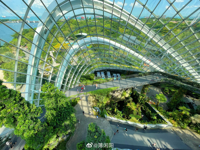新加坡滨海湾花园融合阿凡达世界全新体验!__财经头条__新浪财经