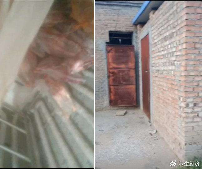 售卖病死羊肉 偏关县农业农村局对黑商贩立案调查