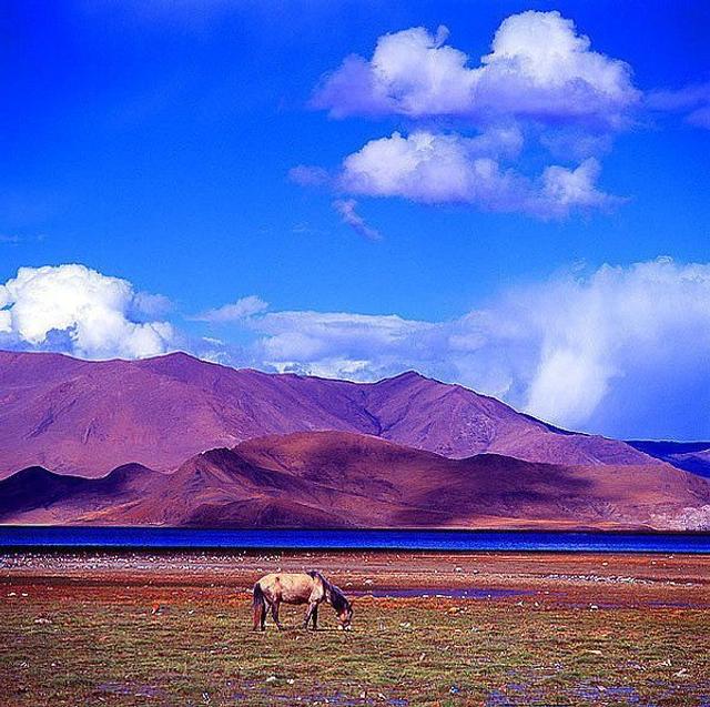 羊湖（即羊卓雍措），湖光山色之美，冠绝藏南， 想去吗？