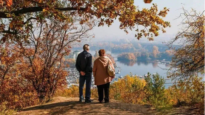 原创|人过五十，儿女再孝顺，都要懂得“麻雀定律”，别不当回事