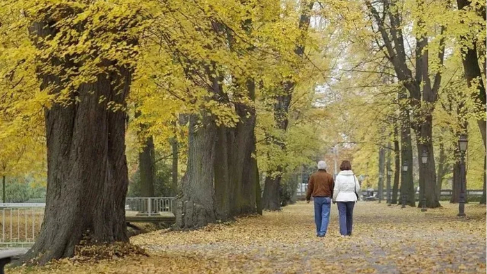 “新型养老”突然流行：既不用去养老院，也不拖累儿女，让人羡慕