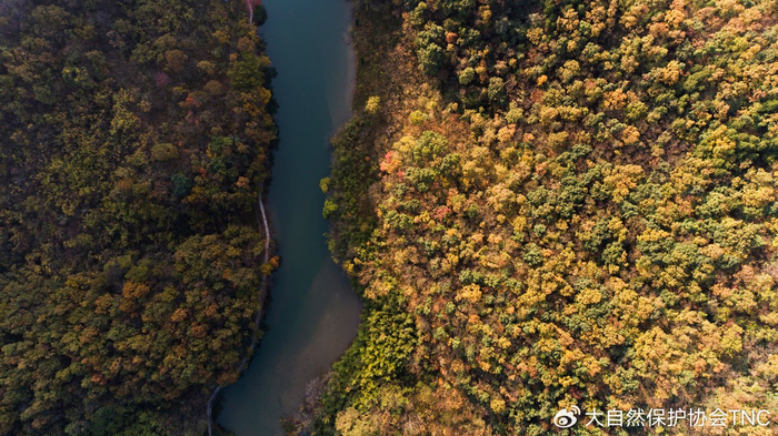 守护南水北调水源地记tnc河南丹江石漠化土地近自然精准修复项目