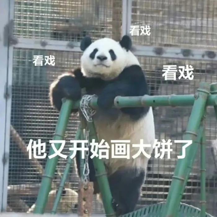 熊猫抱人看戏表情包图片