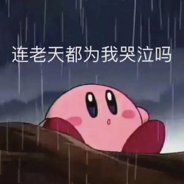 沙雕可爱表情包:上网踩到屎!