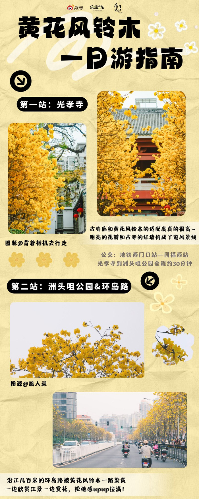陵园西路,光孝寺,云台花园,今年的赏花热门打卡地你去了吗?