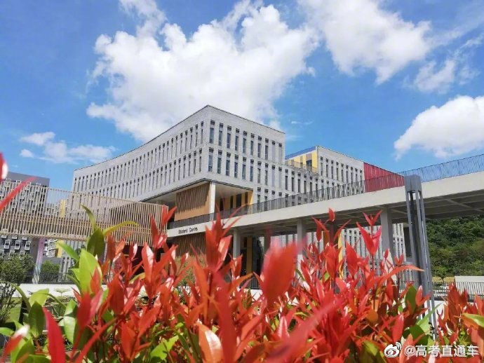 校园风景 | 香港中文大学(深圳)__财经头条