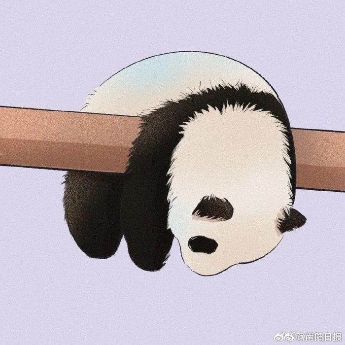 送你上一组可可爱爱的熊猫头像
