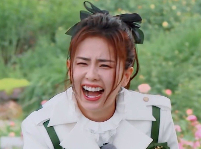 白鹿|邓为|褶子_新浪新闻