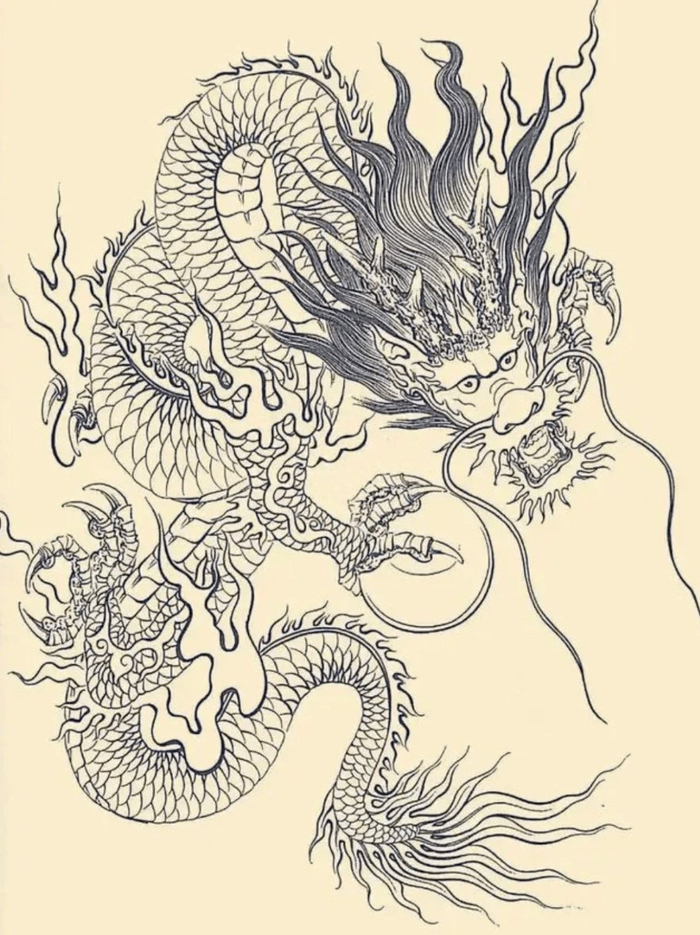 掌握这几个技巧,画龙不再难!