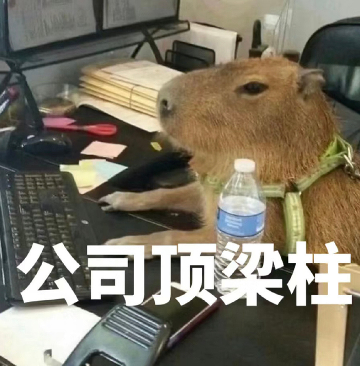 又到了存表情包的快乐时间