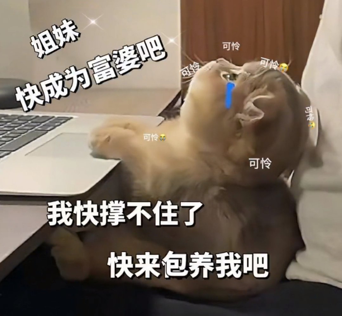 表情包让你称霸聊天群!