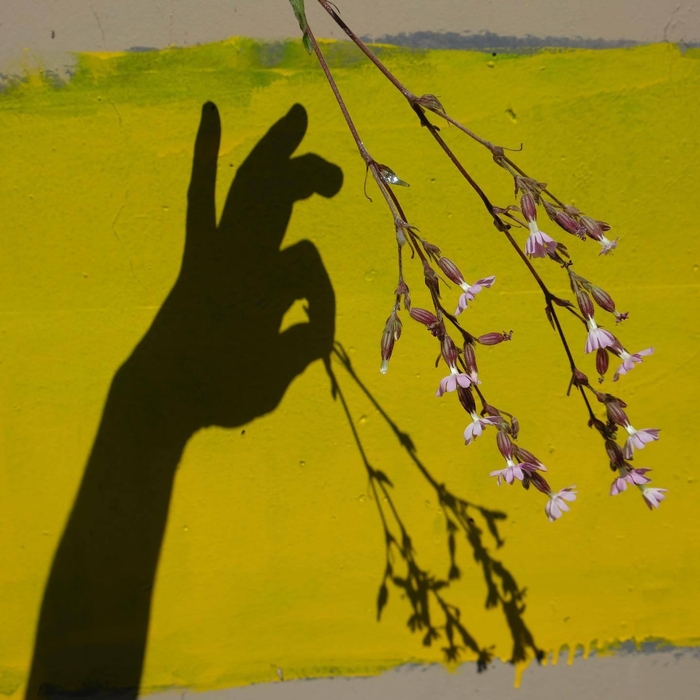 奇异的日常 摄影师paul sawyers