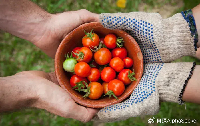 快手王北四现象:短视频创作者如何正确抢滩直播带货