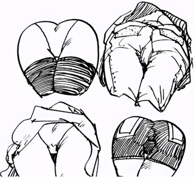 想画其他角度的时候臀部侧面臀部正面臀部的画法说起来很复杂,因此